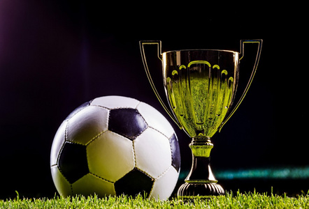 晰地理解这 晰地理解这